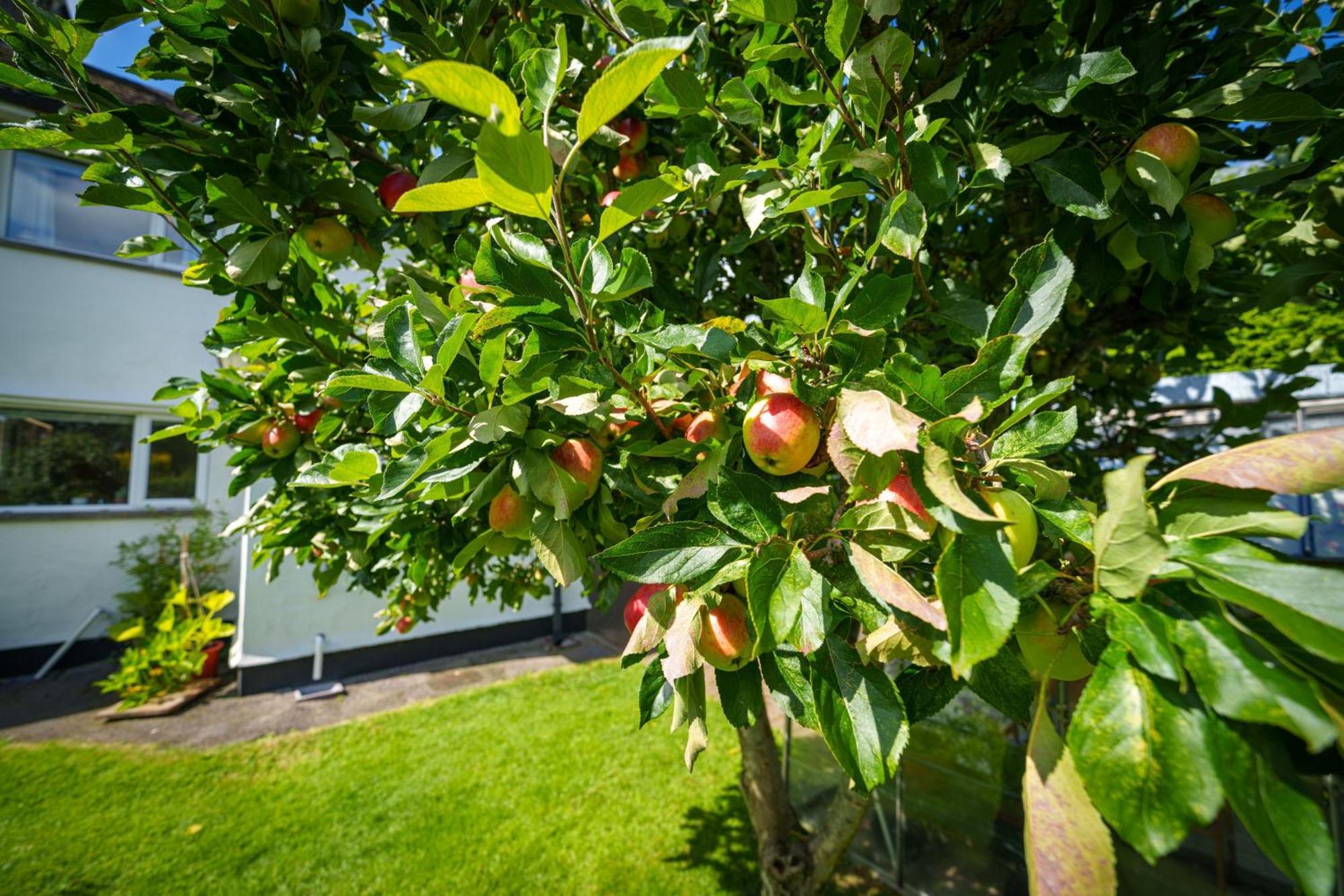 Vila Apple Byrd - Short Stroll Into Kendal Town Centre Exteriér fotografie